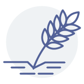 Clarico-3 Columns Style 2